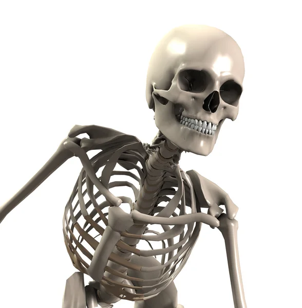 Esqueleto de flexão para a frente — Fotografia de Stock