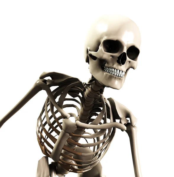 Esqueleto de flexão para a frente — Fotografia de Stock