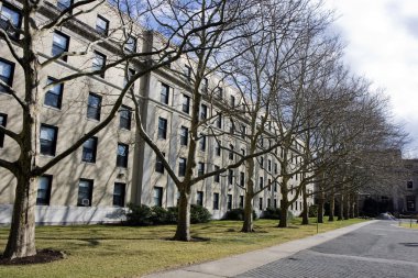 Cambridge Üniversitesi nde park