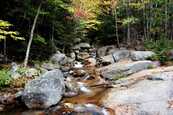 Herfst bos en water — Stockfoto