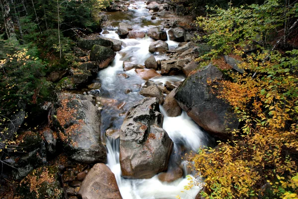 Őszi erdő és a víz — Stock Fotó