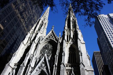 St. Patrick Cathedral clipart