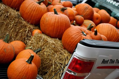 Halloween pumpkins clipart