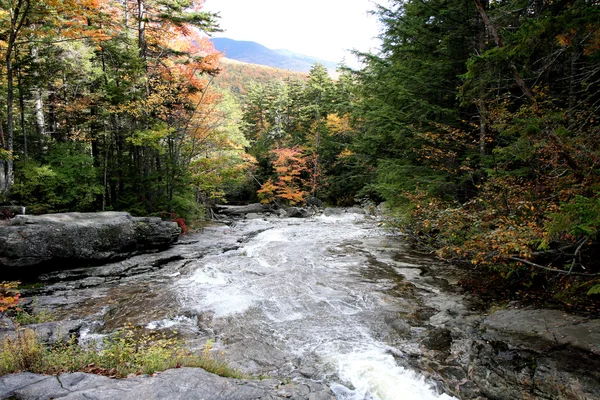 Jesień las i woda — Zdjęcie stockowe