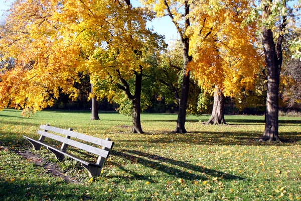 A bench in a park at autumn — Stock Photo, Image