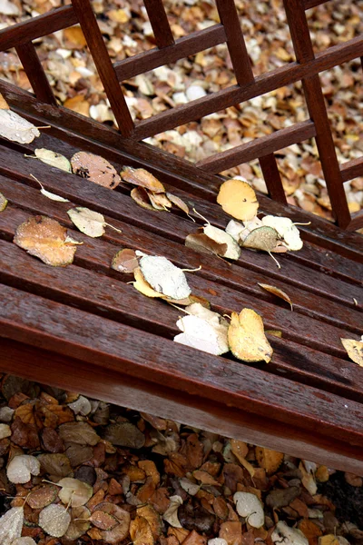 Jesienne liście na drewnie — Zdjęcie stockowe