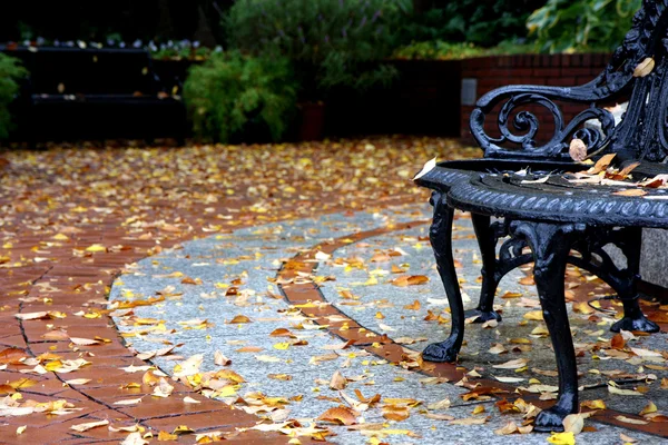 Street view at autumn with bench and leaves — Stock Photo, Image