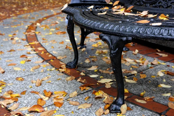 stock image Street view at autumn