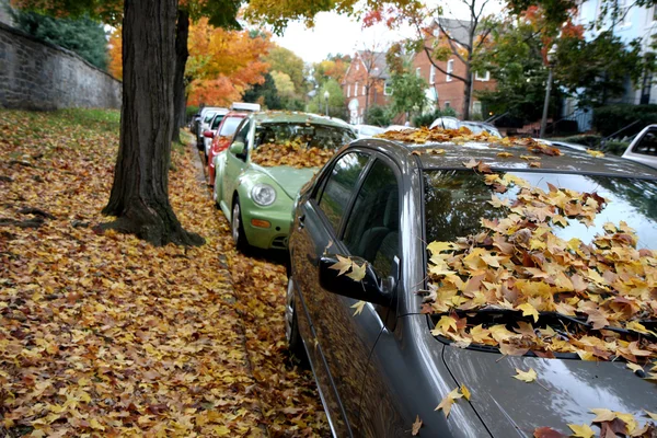 Вулиця на осінь — стокове фото