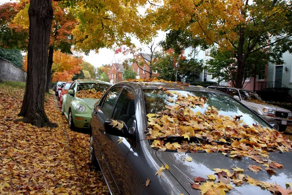 Street at autumn — Stock Photo, Image