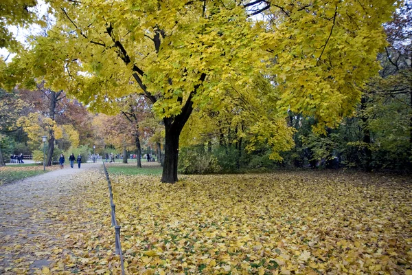Park in autumn — Stock Photo, Image