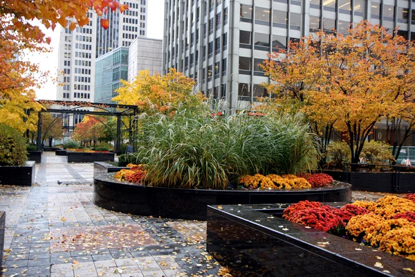 stock image Autumn in city