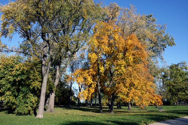 En park på hösten — Stockfoto
