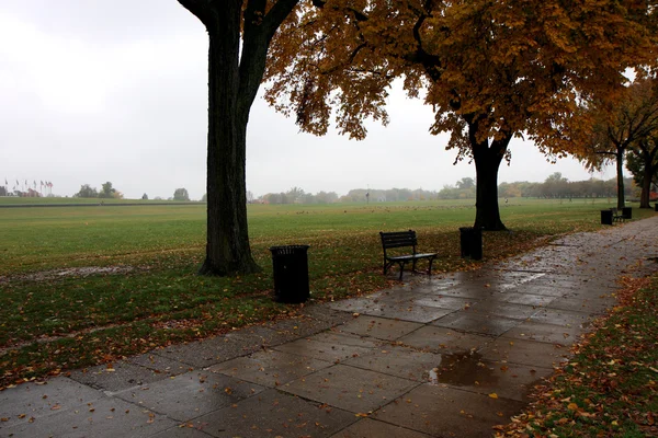 A wet road with a bench at autumn — Stock Photo, Image