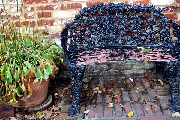 stock image Bench and plant at autumn