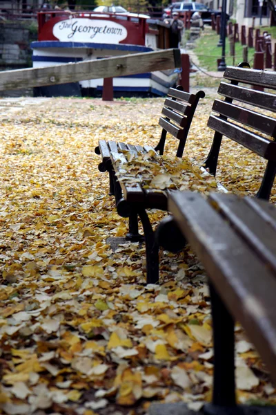 Benches at autumn — Stock Photo, Image