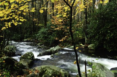 Vermont in fall clipart