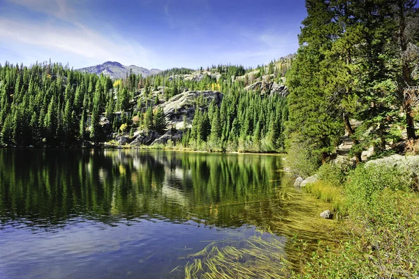 Bomen die reflecteren in het meer — Stockfoto
