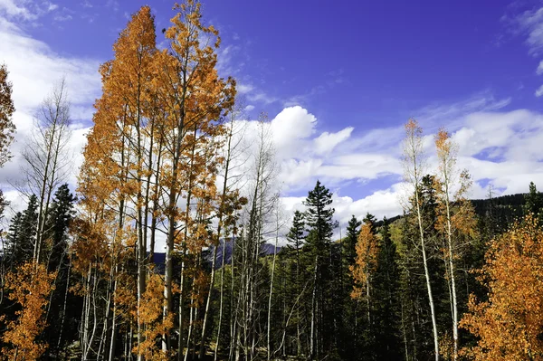 Fall in the rocky mountains — Stock Photo, Image