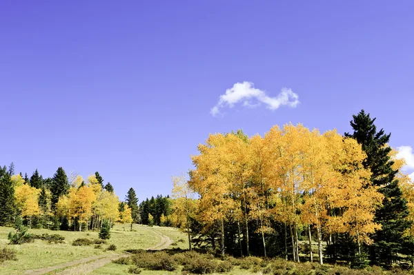 Camino del campo en otoño —  Fotos de Stock
