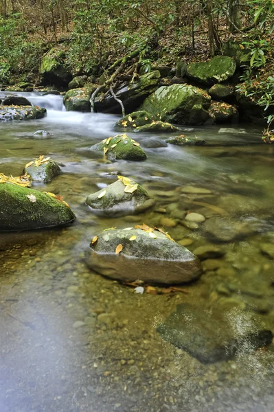 Creek z jesienią liście — Zdjęcie stockowe
