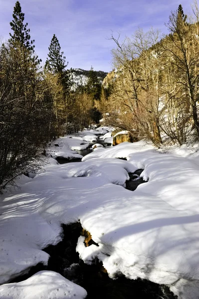 Winter in New Mexico — Stockfoto