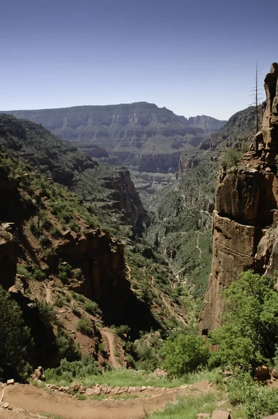 North rim van de grand canyon — Stockfoto