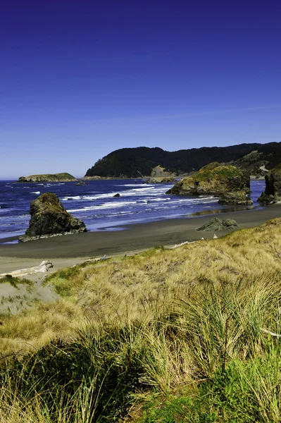 岩と草の前太平洋 — ストック写真