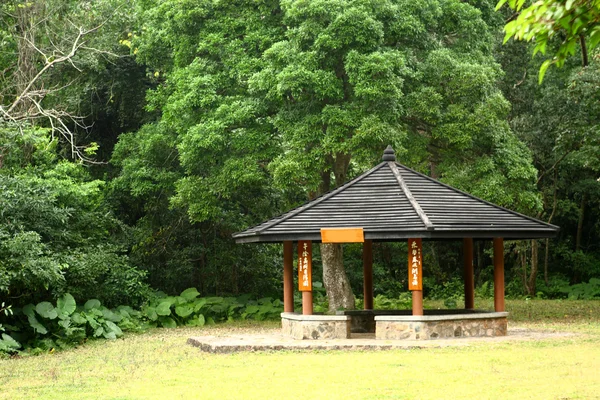 Pequeno Pavilhão Entre Natureza Com Fundo Florestal Durante Dia — Fotografia de Stock