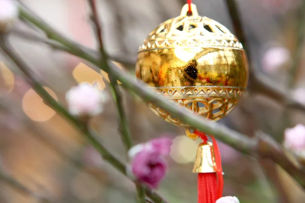Golden Bell Tree — Stock Photo, Image