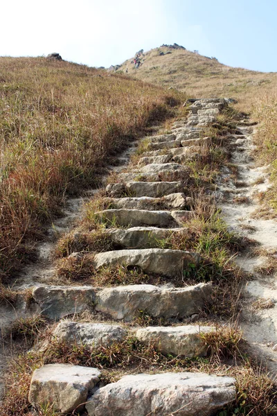 山の小道 石のステップのクローズ アップ — ストック写真