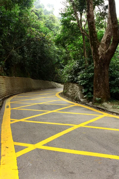 Route avec lignes jaunes — Photo