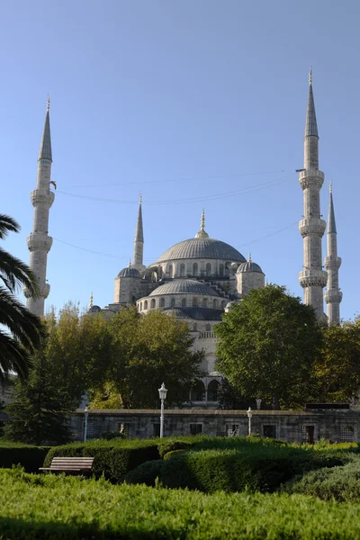 Mezquita azul — Foto de Stock