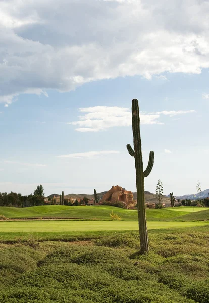 Desert Springs Golf Course — Zdjęcie stockowe