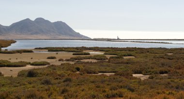 Salt Flats (Las Salinas) near Cabo De Gata clipart