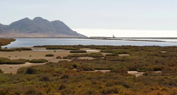 Cabo De Gata yakınındaki tuz daireler (Las Salinas) — Stok fotoğraf