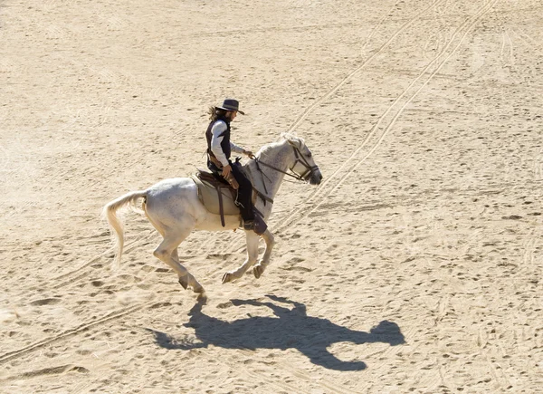 Шериф верхи на коні — стокове фото