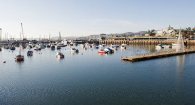 Torquay Limanı