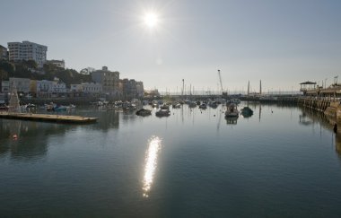 harbour, devon, İngiltere Torquay