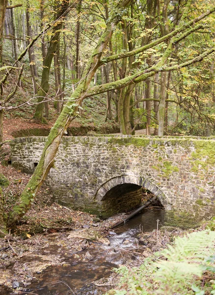 Old Stone Bridge — Stock Photo, Image