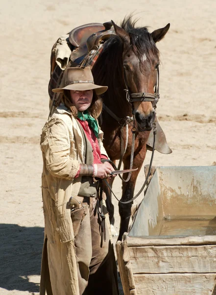 Kovboy atı, bir su oluğu ile — Stok fotoğraf