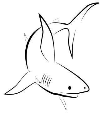 The vector image of a shark clipart