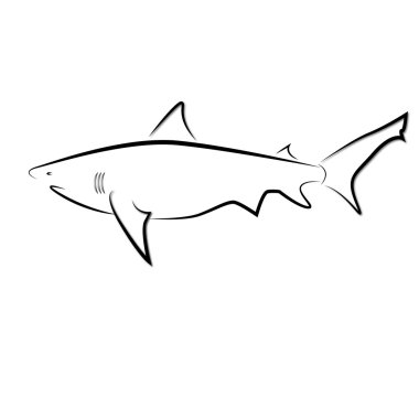 The vector image of a shark clipart