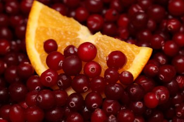 Orange slice in cranberries. clipart