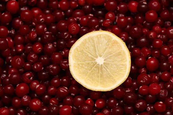 Fatia de limão e cranberries — Fotografia de Stock