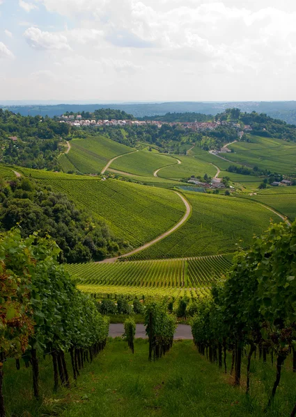 stuttgart, Almanya'nın bağ