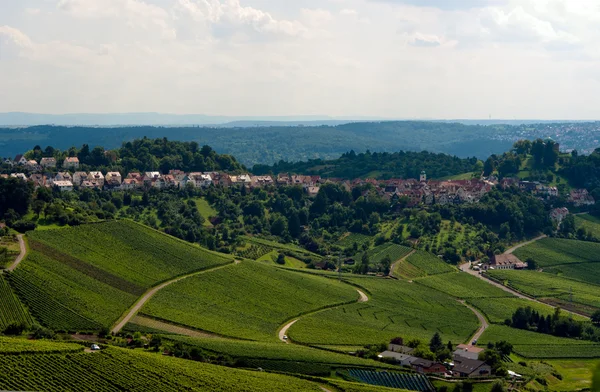 Stuttgart sonbaharda bağ