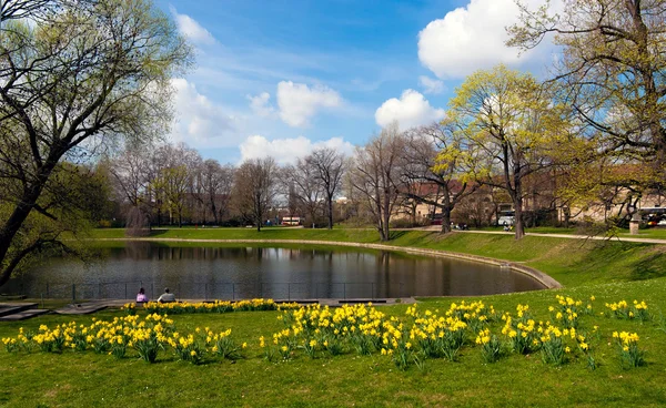 bahar zamanı Dresden