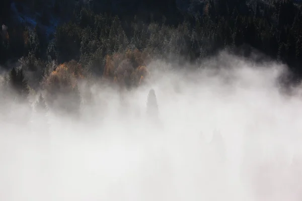 산이 — 스톡 사진