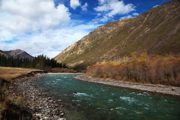Autumn mountain river — Stock Photo, Image